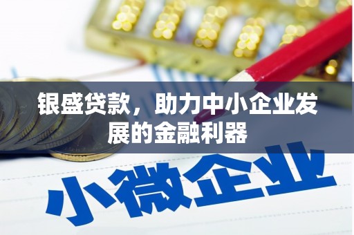 定海银盛贷款，助力中小企业发展的金融利器