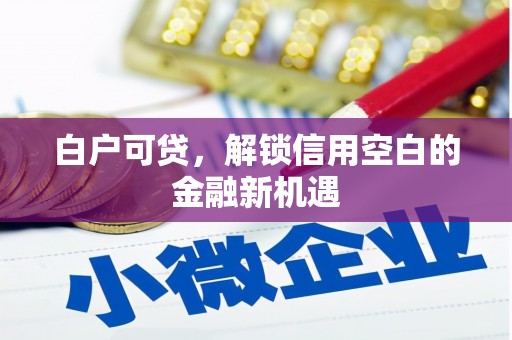 定海白户可贷，解锁信用空白的金融新机遇