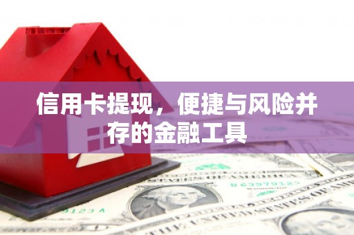 定海信用卡提现，便捷与风险并存的金融工具