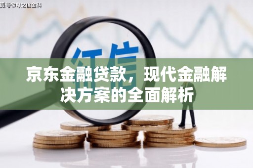 定海京东金融贷款，现代金融解决方案的全面解析
