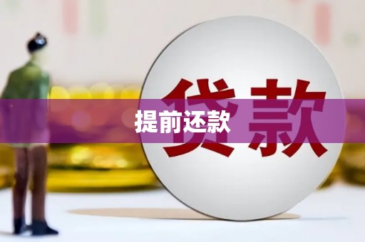 定海提前还款