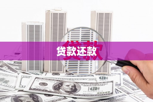 定海贷款还款