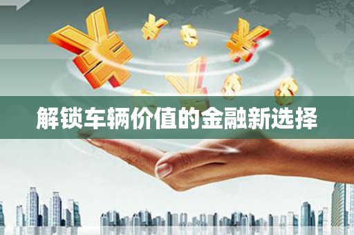 定海解锁车辆价值的金融新选择