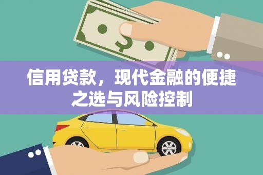 定海信用贷款，现代金融的便捷之选与风险控制