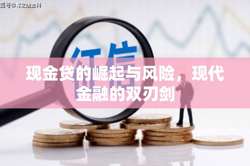 定海现金贷的崛起与风险，现代金融的双刃剑
