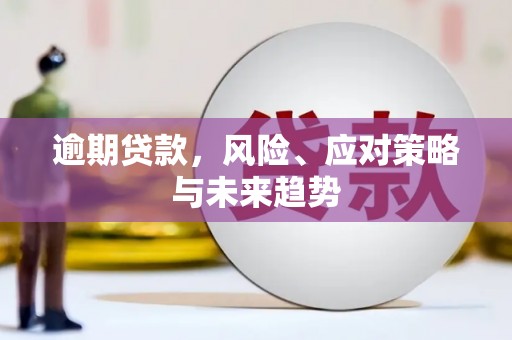 定海逾期贷款，风险、应对策略与未来趋势