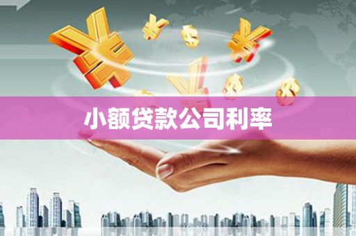 定海小额贷款公司利率
