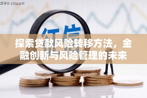 定海探索贷款风险转移方法，金融创新与风险管理的未来