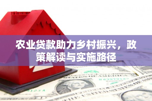 定海农业贷款助力乡村振兴，政策解读与实施路径