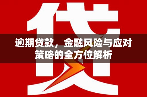 定海逾期贷款，金融风险与应对策略的全方位解析