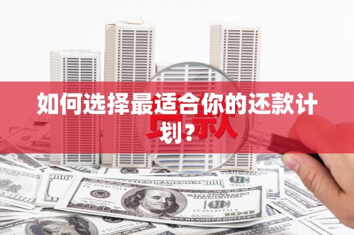 定海如何选择最适合你的还款计划？