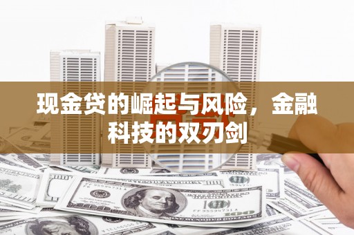 定海现金贷的崛起与风险，金融科技的双刃剑