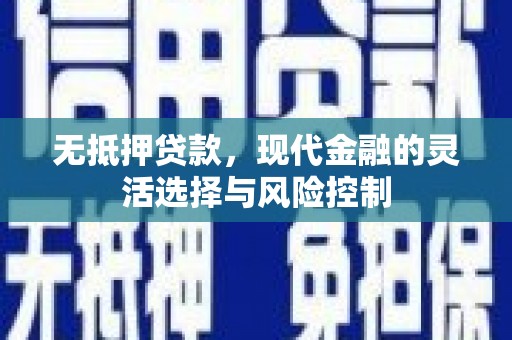定海无抵押贷款，现代金融的灵活选择与风险控制