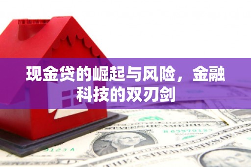 定海现金贷的崛起与风险，金融科技的双刃剑