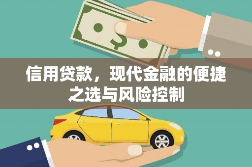 定海信用贷款，现代金融的便捷之选与风险控制