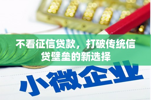 定海不看征信贷款，打破传统信贷壁垒的新选择