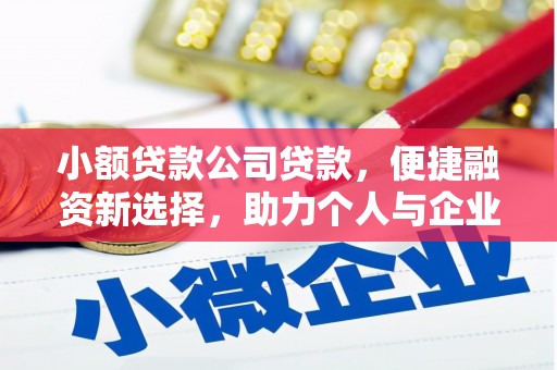 定海小额贷款公司贷款，便捷融资新选择，助力个人与企业成长