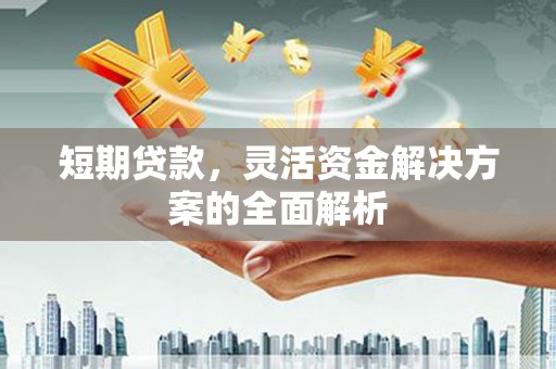 定海短期贷款，灵活资金解决方案的全面解析