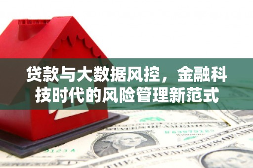 定海贷款与大数据风控，金融科技时代的风险管理新范式