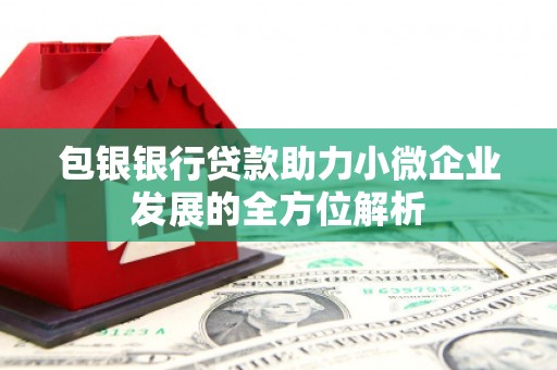 定海包银银行贷款助力小微企业发展的全方位解析