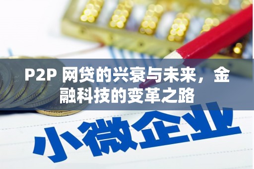 定海P2P 网贷的兴衰与未来，金融科技的变革之路