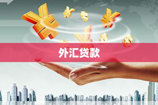 定海外汇贷款