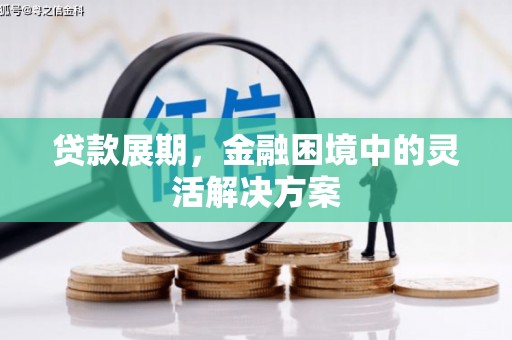 定海贷款展期，金融困境中的灵活解决方案