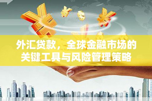 定海外汇贷款，全球金融市场的关键工具与风险管理策略