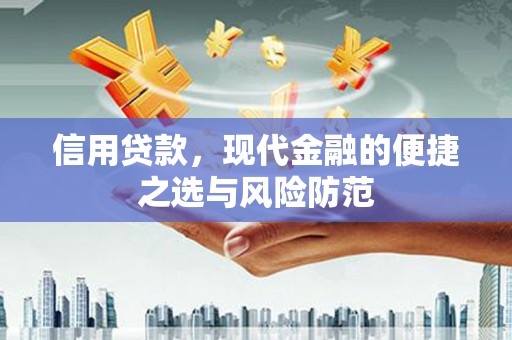 定海信用贷款，现代金融的便捷之选与风险防范