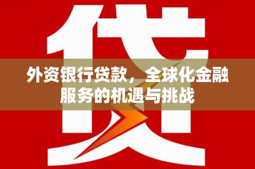 定海外资银行贷款，全球化金融服务的机遇与挑战