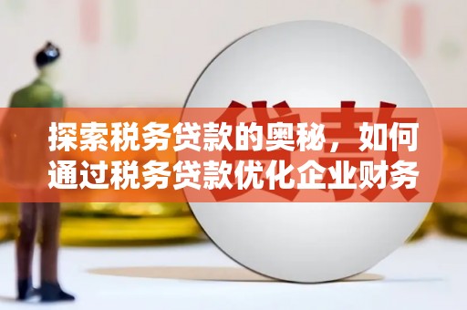 定海探索税务贷款的奥秘，如何通过税务贷款优化企业财务