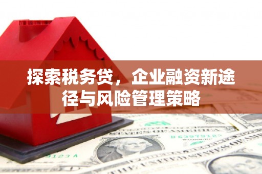 定海探索税务贷，企业融资新途径与风险管理策略