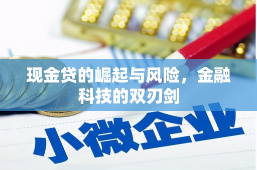定海现金贷的崛起与风险，金融科技的双刃剑