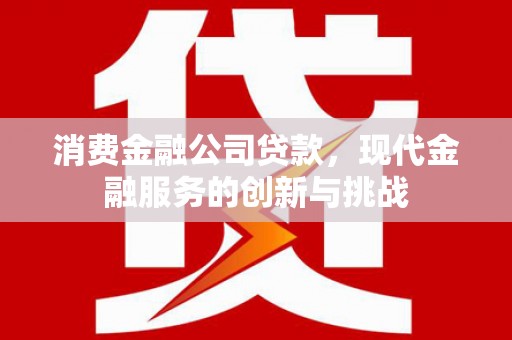 定海消费金融公司贷款，现代金融服务的创新与挑战