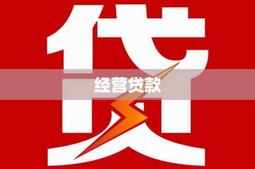 定海经营贷款