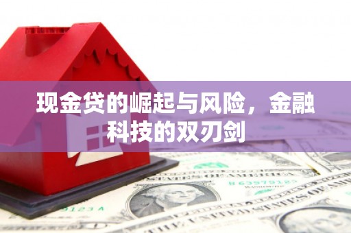定海现金贷的崛起与风险，金融科技的双刃剑