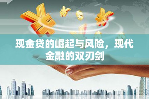 定海现金贷的崛起与风险，现代金融的双刃剑