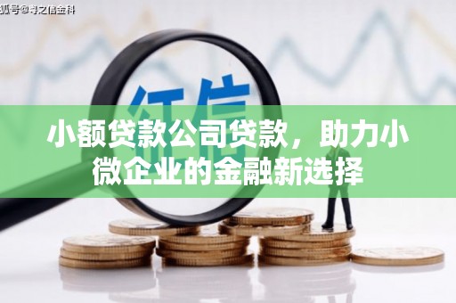 定海小额贷款公司贷款，助力小微企业的金融新选择
