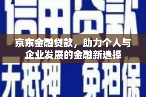 定海京东金融贷款，助力个人与企业发展的金融新选择