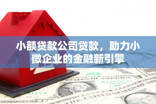 定海小额贷款公司贷款，助力小微企业的金融新引擎