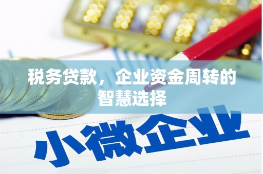 定海税务贷款，企业资金周转的智慧选择