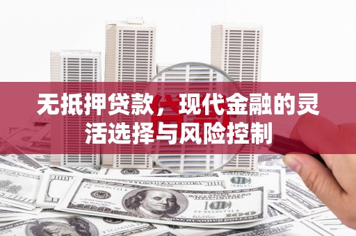 定海无抵押贷款，现代金融的灵活选择与风险控制