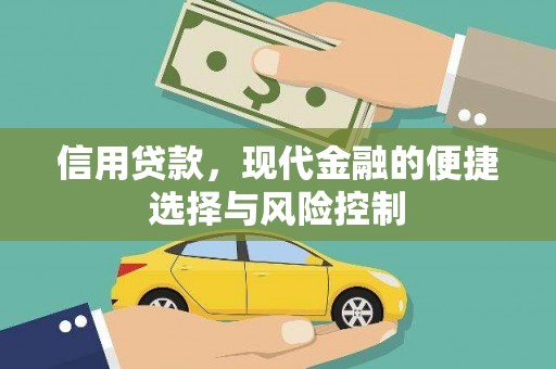 定海信用贷款，现代金融的便捷选择与风险控制