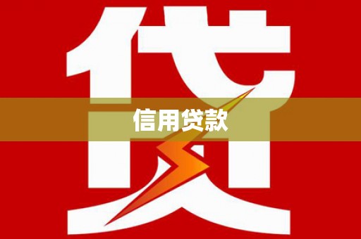 定海信用贷款
