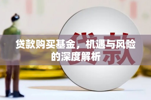 定海贷款购买基金，机遇与风险的深度解析