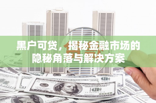定海黑户可贷，揭秘金融市场的隐秘角落与解决方案