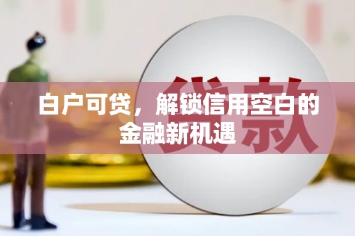 定海白户可贷，解锁信用空白的金融新机遇