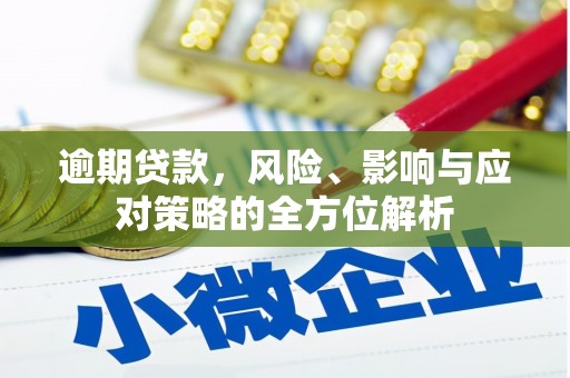 定海逾期贷款，风险、影响与应对策略的全方位解析