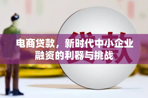 定海电商贷款，新时代中小企业融资的利器与挑战