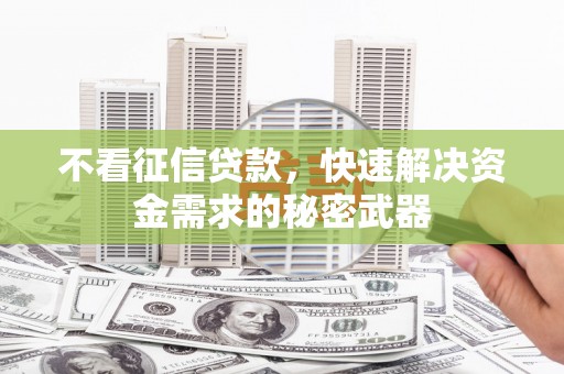 定海不看征信贷款，快速解决资金需求的秘密武器